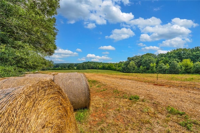 143 George Merck Rd, Anderson, SC 29626
