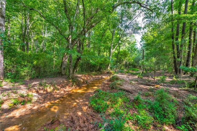 143 George Merck Rd, Anderson, SC 29626