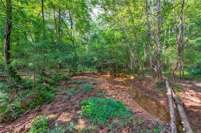 143 George Merck Rd, Anderson, SC 29626