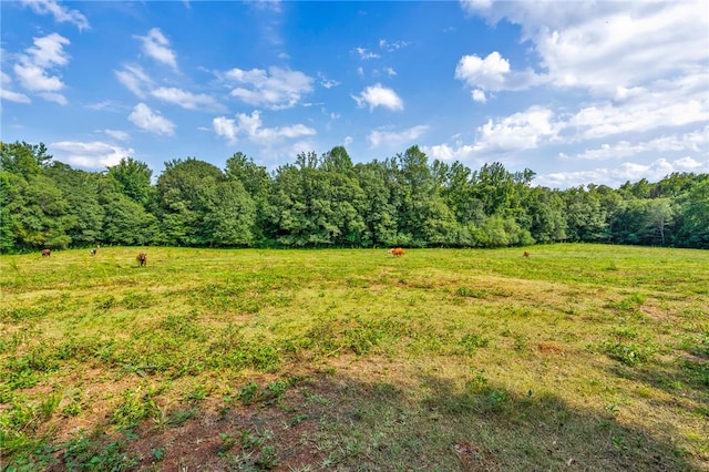 143 George Merck Rd, Anderson, SC 29626