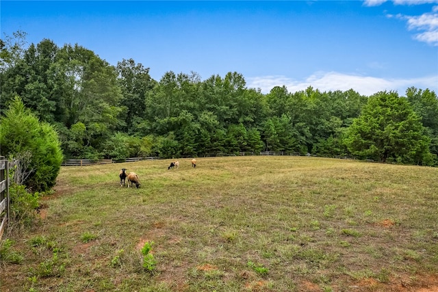 view of yard with a rural view