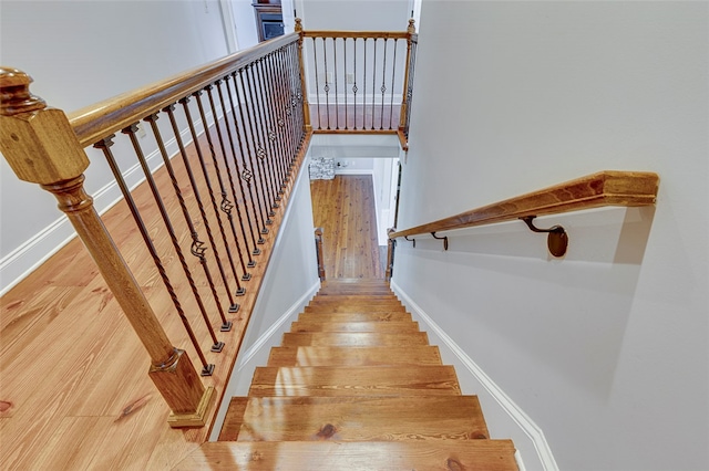 staircase with wood-type flooring