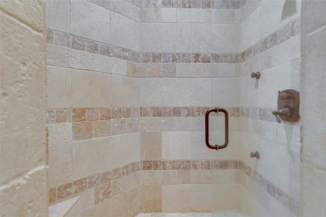 interior space featuring a shower with shower door