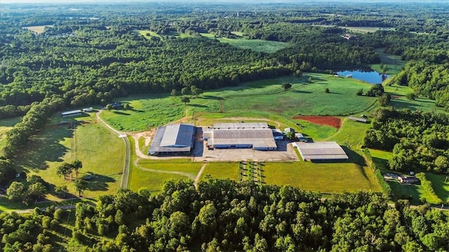 186 Woodville Rd, Pelzer, SC 29669 - aerial overview of property's location featuring a forest and a large body of water