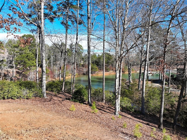 property view of water