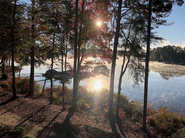 property view of water