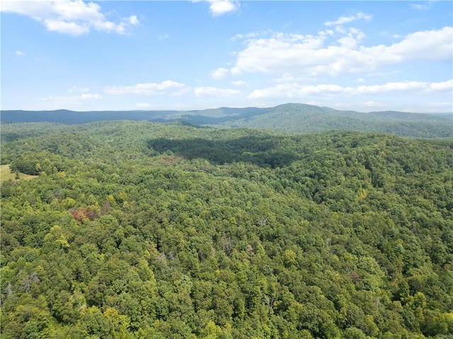 TR3 Cobb Bridge Rd, Westminster, SC 29693