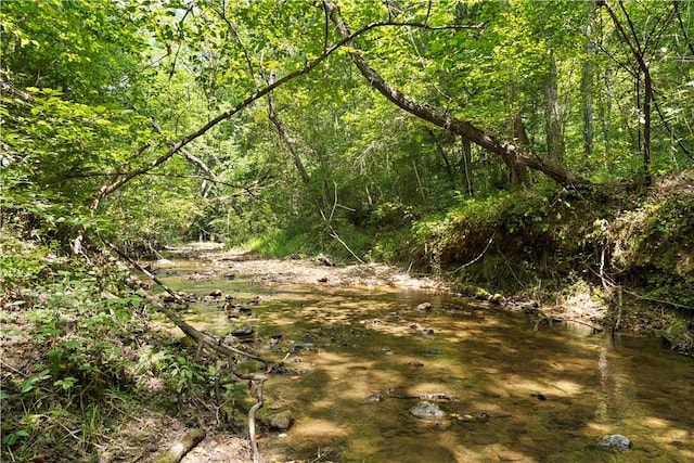 TR3 Cobb Bridge Rd, Westminster, SC 29693