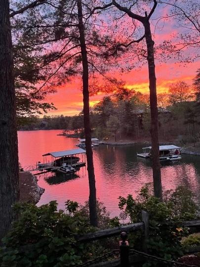 202 Passion Flower Way, Sunset, SC 29685 - water view featuring a dock