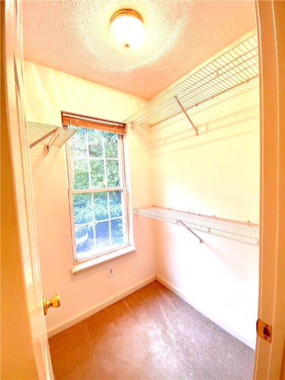 spacious closet featuring carpet floors