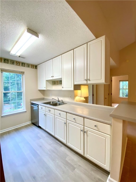 kitchen featuring a wealth of natural light, sink, stainless steel dishwasher, and light hardwood / wood-style flooring