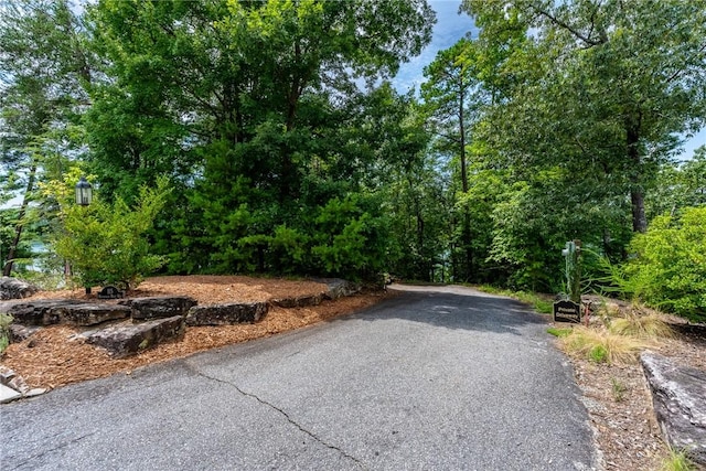 121 Mountain Mint Way, Sunset, SC 29685 - photo 19