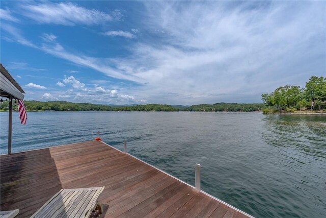 121 Mountain Mint Way, Sunset, SC 29685 - photo 6