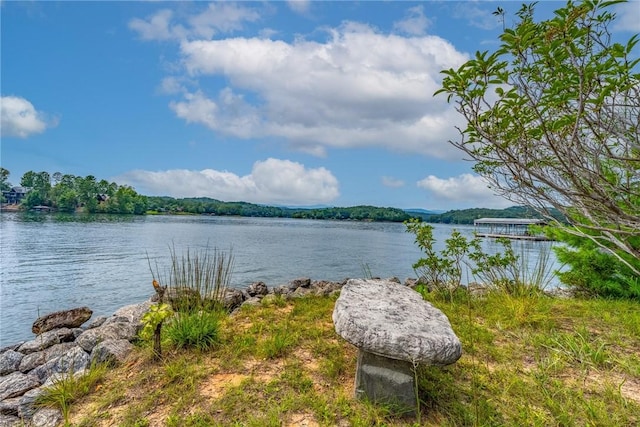 121 Mountain Mint Way, Sunset, SC 29685 - photo 23