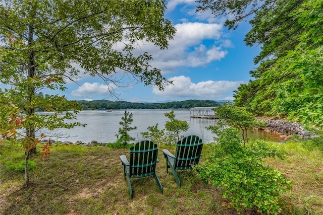 121 Mountain Mint Way, Sunset, SC 29685 - photo 24