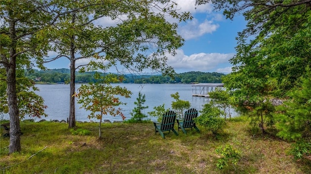 121 Mountain Mint Way, Sunset, SC 29685 - photo 27