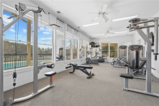 workout area featuring a healthy amount of sunlight and ceiling fan