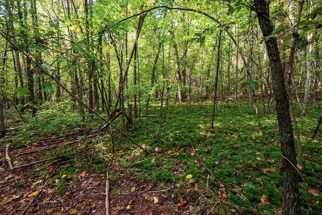 286 Nostradamus Ct, Salem, SC 29676 - view of wooded area