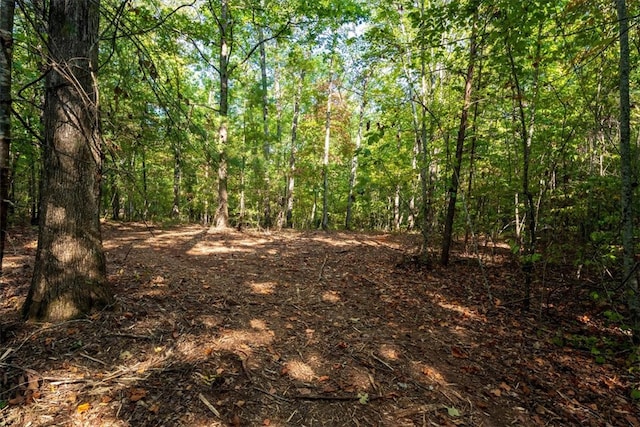 view of local wilderness