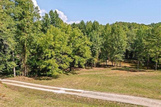 view of local wilderness