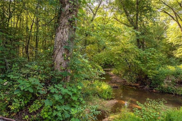 view of nature