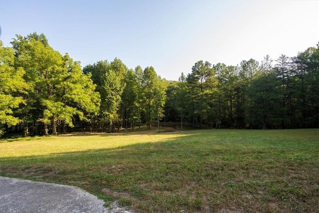 286 Nostradamus Ct, Salem, SC 29676 - view of grassy yard featuring a view of trees
