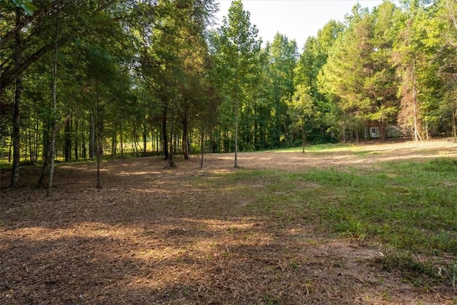 286 Nostradamus Ct, Salem, SC 29676 - view of tree filled area