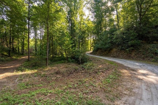 286 Nostradamus Ct, Salem, SC 29676 - view of street featuring a forest view