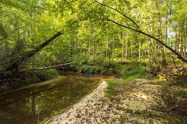 view of local wilderness with a water view