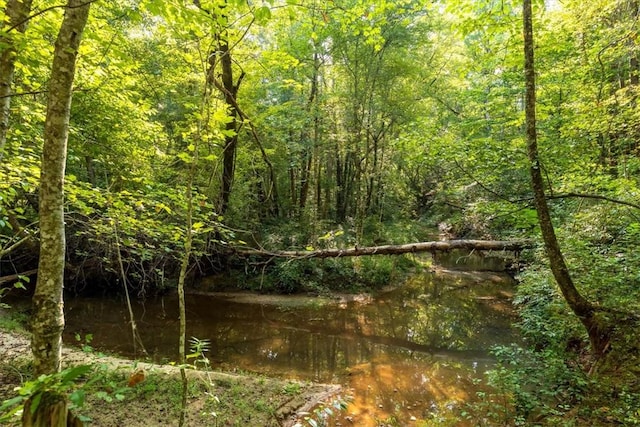 286 Nostradamus Ct, Salem, SC 29676 - view of wooded area