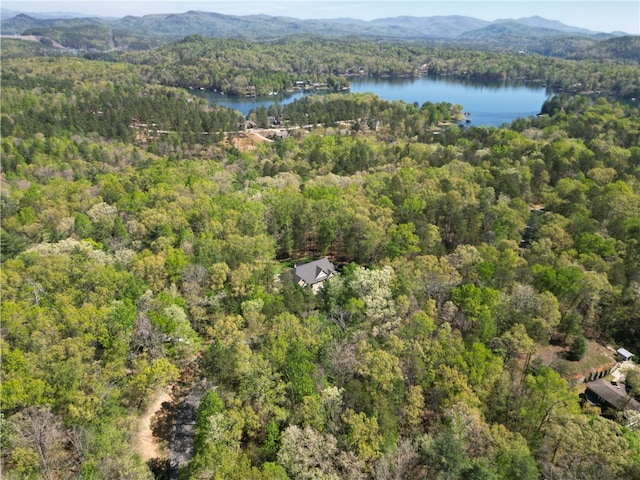 bird's eye view featuring a water and mountain view