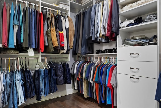 spacious closet featuring dark hardwood / wood-style floors