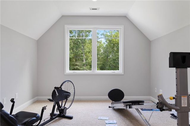 exercise room featuring lofted ceiling and carpet floors