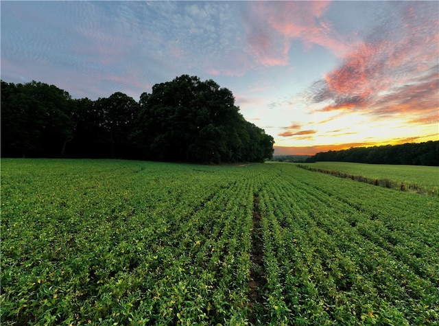 view of yard featuring a rural view