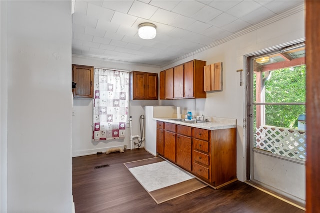 kitchen with sink, crown molding, and dark hardwood / wood-style flooring