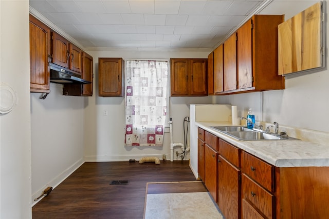 kitchen with ornamental molding, dark hardwood / wood-style floors, and sink