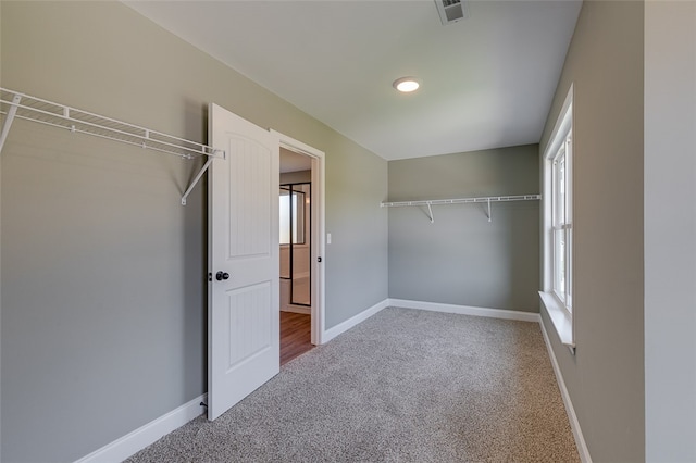 spacious closet featuring carpet