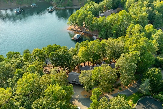 606 Majesty Ct, Salem, SC 29676 - birds eye view of property featuring a water view
