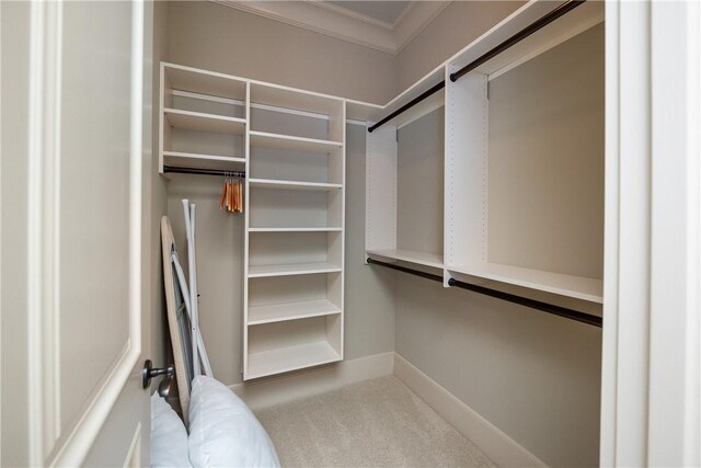 606 Majesty Ct, Salem, SC 29676 - spacious closet with carpet