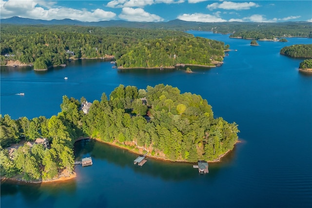 aerial view with a water and mountain view