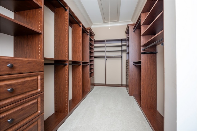 spacious closet featuring light colored carpet