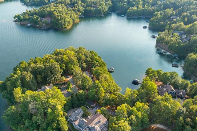 606 Majesty Ct, Salem, SC 29676 - aerial view with a water view