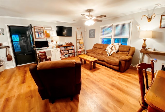 living room featuring ceiling fan, light wood-type flooring, and crown molding