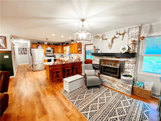 living room with light hardwood / wood-style flooring, a healthy amount of sunlight, and crown molding