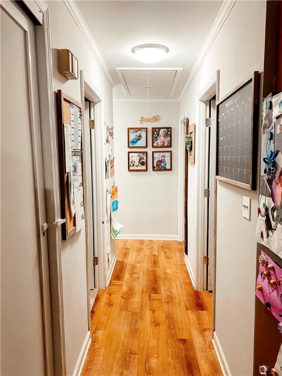 hallway featuring light wood-type flooring and crown molding