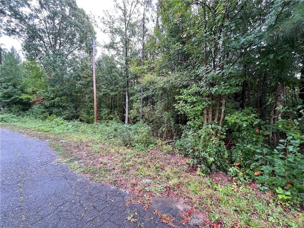 0 Dogwood Cir, Clinton, SC 29325 - photo 3