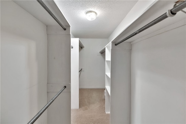 spacious closet featuring light carpet