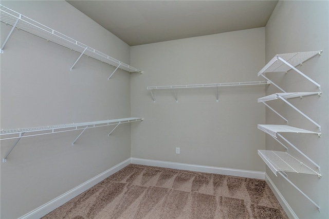 spacious closet with carpet floors