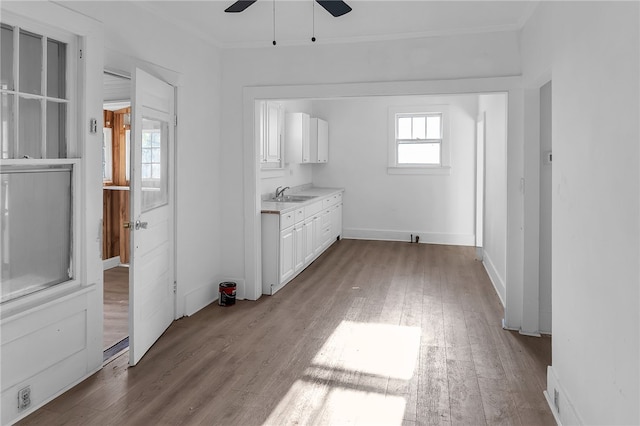 interior space with crown molding, light hardwood / wood-style floors, sink, and ceiling fan