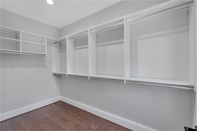 spacious closet featuring dark hardwood / wood-style flooring